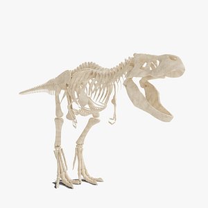 Espécimes de esqueleto de tiranossauro Sue Triceratops, tiranossauro rex,  tiranossauro, personagem fictício png