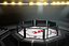 Arena Octagon no estilo UFC
