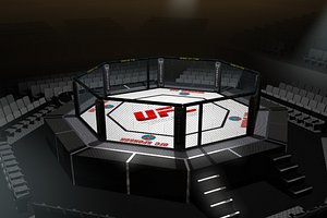 octagon arena ufc fighting 3d model
