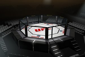 UFC style Octagon Arena