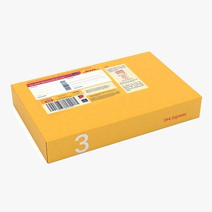 Cardboard Packaging Box DHL 3D model
