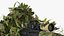 Soldier Shooting Position Wood Camo