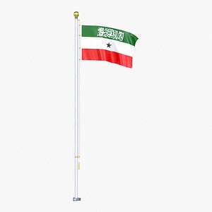 Somaliland Flag Stand Pole Animated Loop