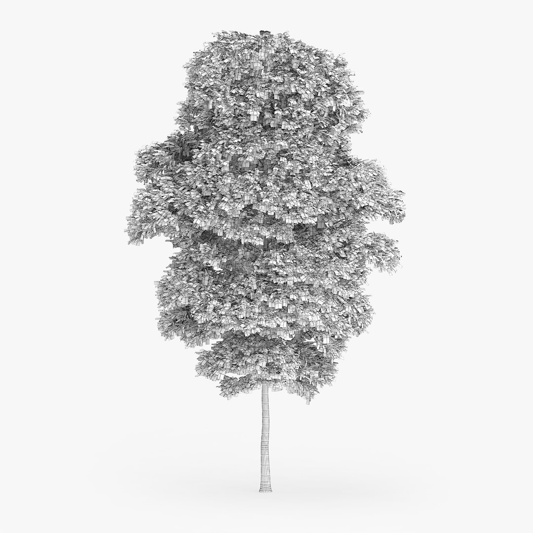 3d downy birch trees https://p.turbosquid.com/ts-thumb/LF/YYjCwd/HtCYe2I8/1202/jpg/1442552314/1920x1080/fit_q87/0a67296fd1c56b3d601a9e3d8101b1833874f89b/1202.jpg