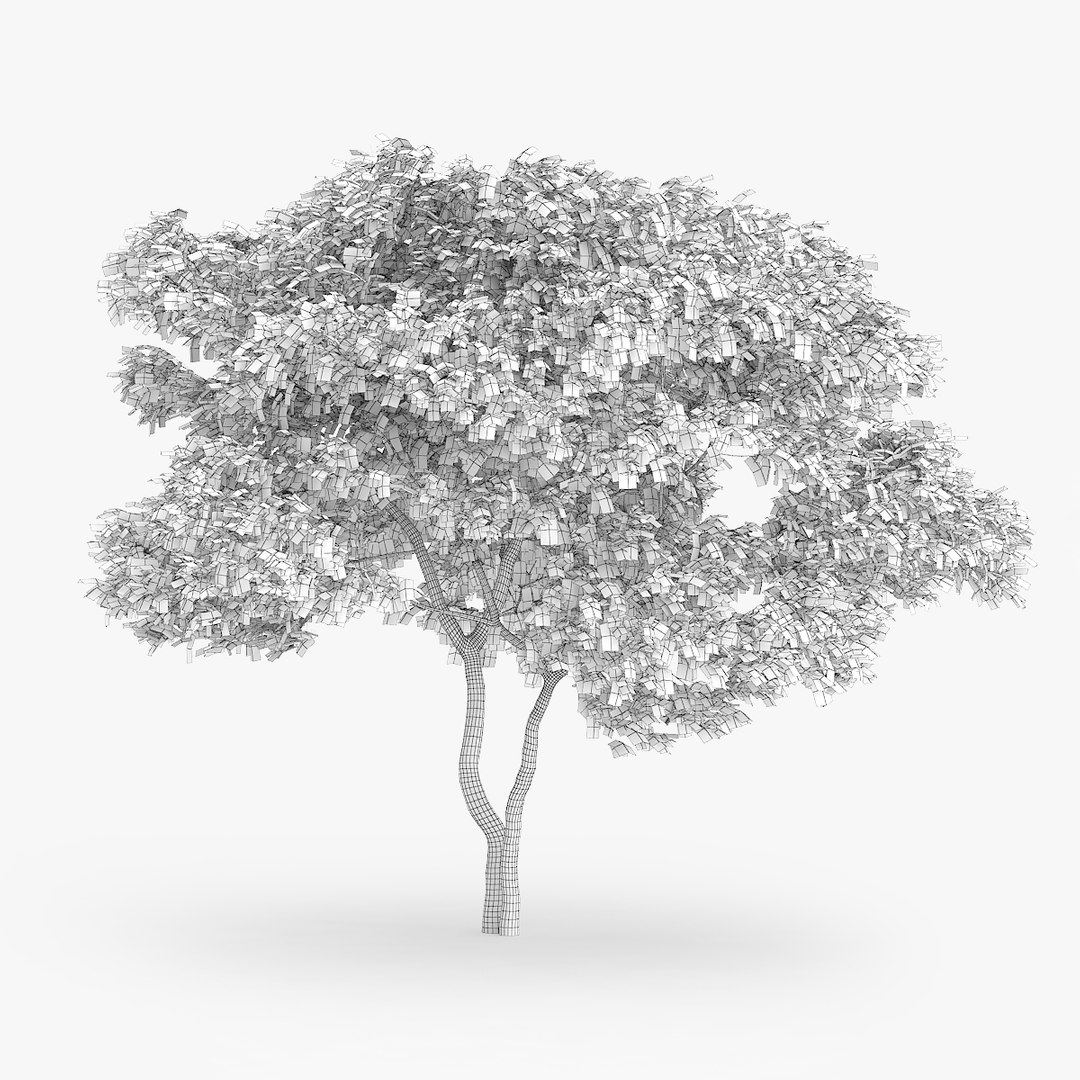 3d downy birch trees https://p.turbosquid.com/ts-thumb/LF/YYjCwd/Ik7KUDVe/1402/jpg/1442552314/1920x1080/fit_q87/b3ce0a825af8b879acb0d684f50c1e656304a596/1402.jpg