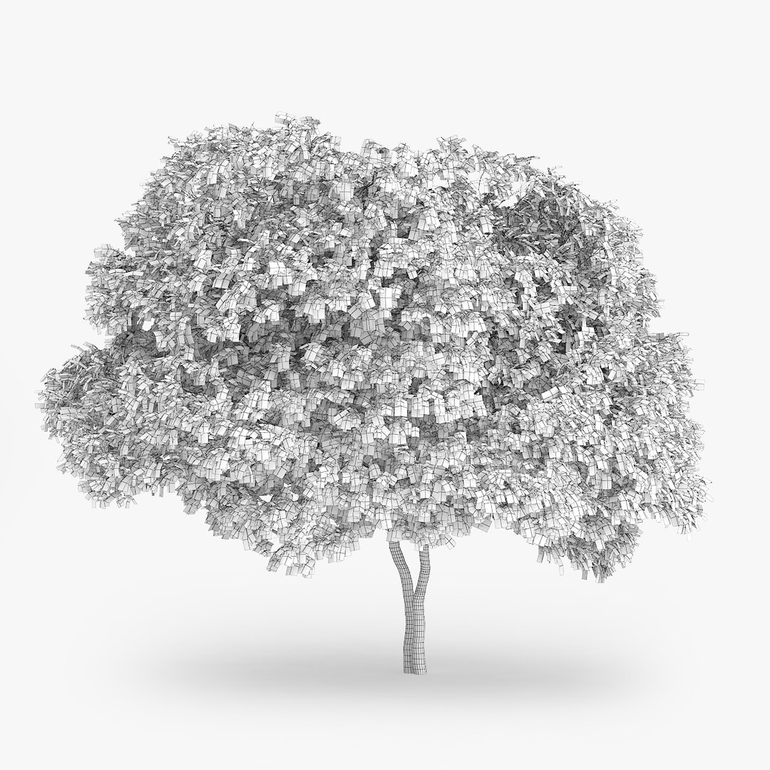 3d downy birch trees https://p.turbosquid.com/ts-thumb/LF/YYjCwd/OS9EB8GZ/1102/jpg/1442552314/1920x1080/fit_q87/5b2137bf94f52876cf168c3dad757981c14dd524/1102.jpg