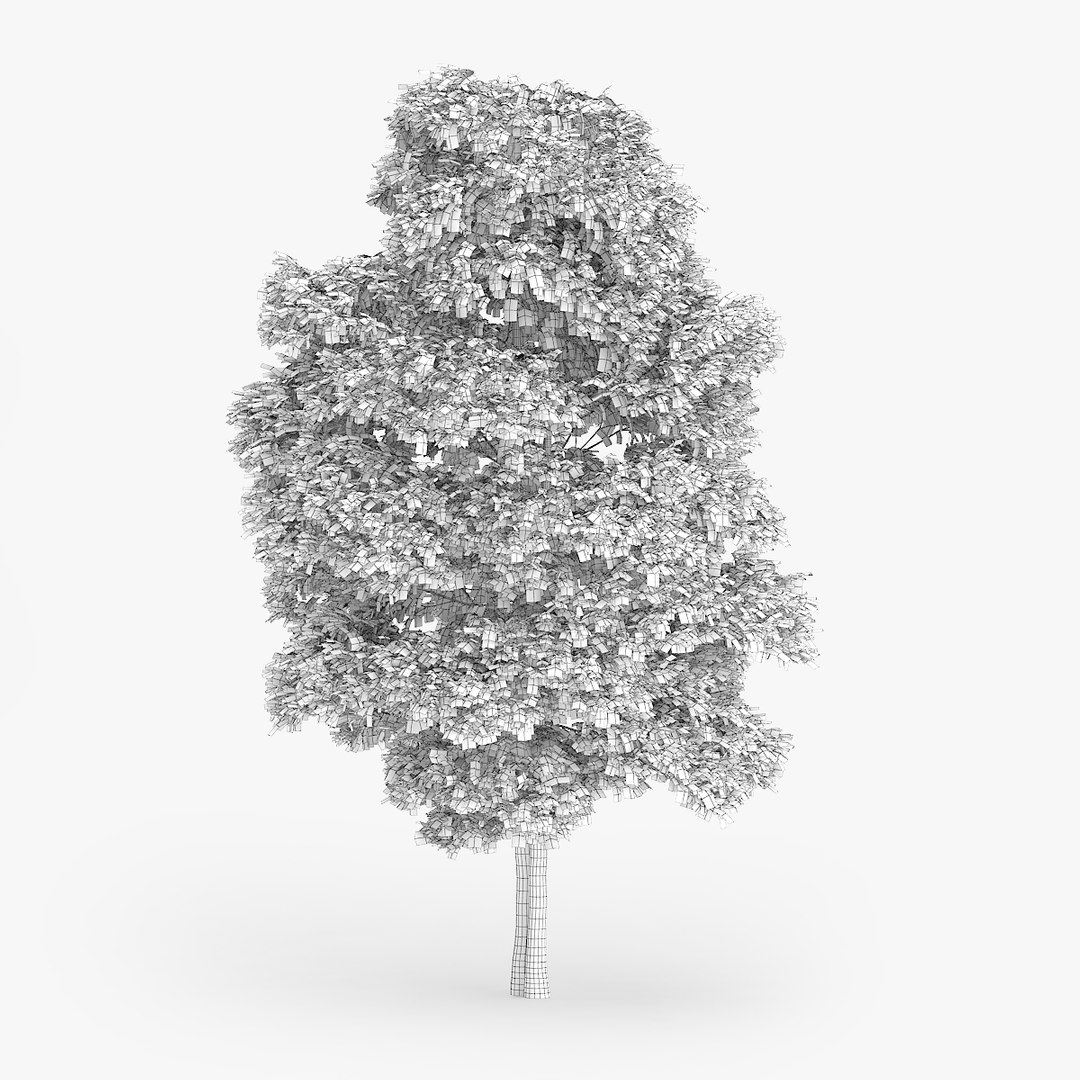 3d downy birch trees https://p.turbosquid.com/ts-thumb/LF/YYjCwd/b5N0oWWM/1502/jpg/1442552314/1920x1080/fit_q87/78574e180cf5cc18b8f1a1b4d414d3144f333fd1/1502.jpg