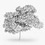 5 Downy Birch Trees