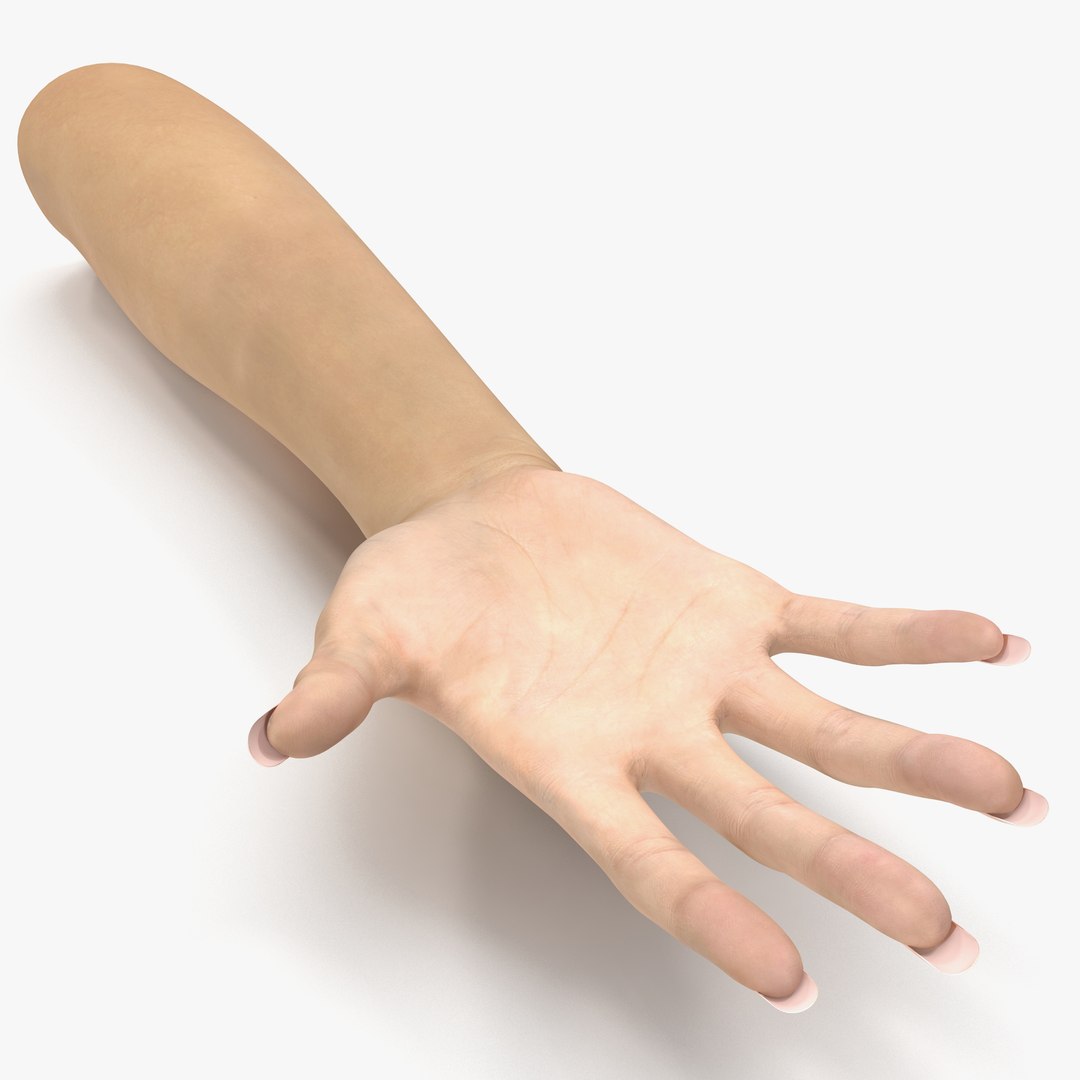 Female Hand 3 Rigged 3D model preview