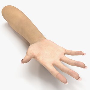 Female Hand 3 Rigged