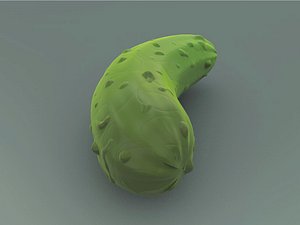 free 3ds model pickle