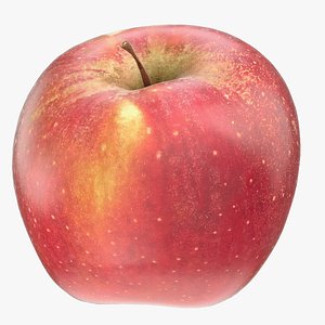 Red Apple PBR Metallness 3D Scaned