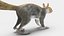 Gray Squirrel