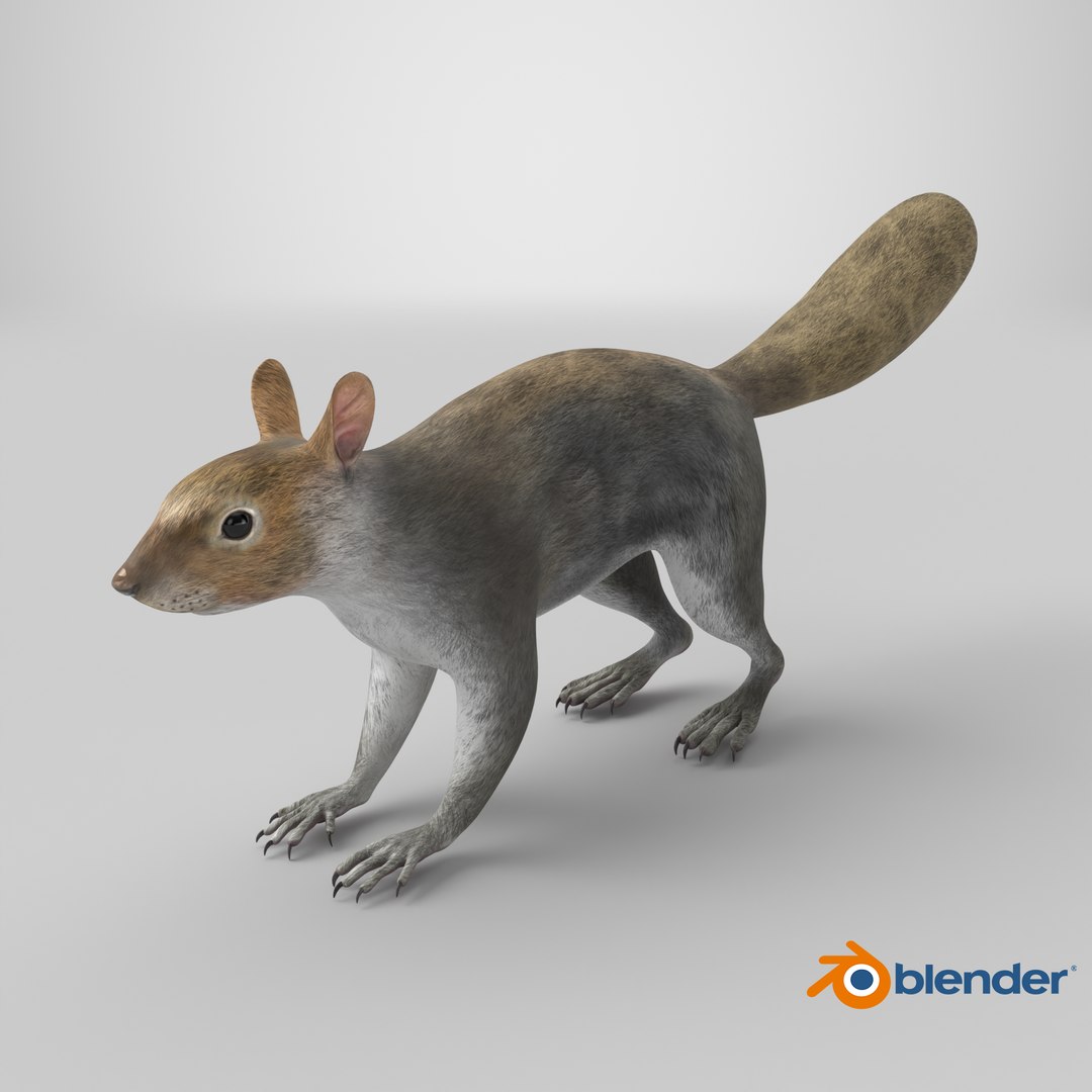 Gray Squirrel 3D https://p.turbosquid.com/ts-thumb/LF/zWorsU/8f/stemcell_blender_cycles_render/png/1724788968/1920x1080/fit_q87/2da3036790f10d1217327782c81ef8800af52caf/stemcell_blender_cycles_render.jpg