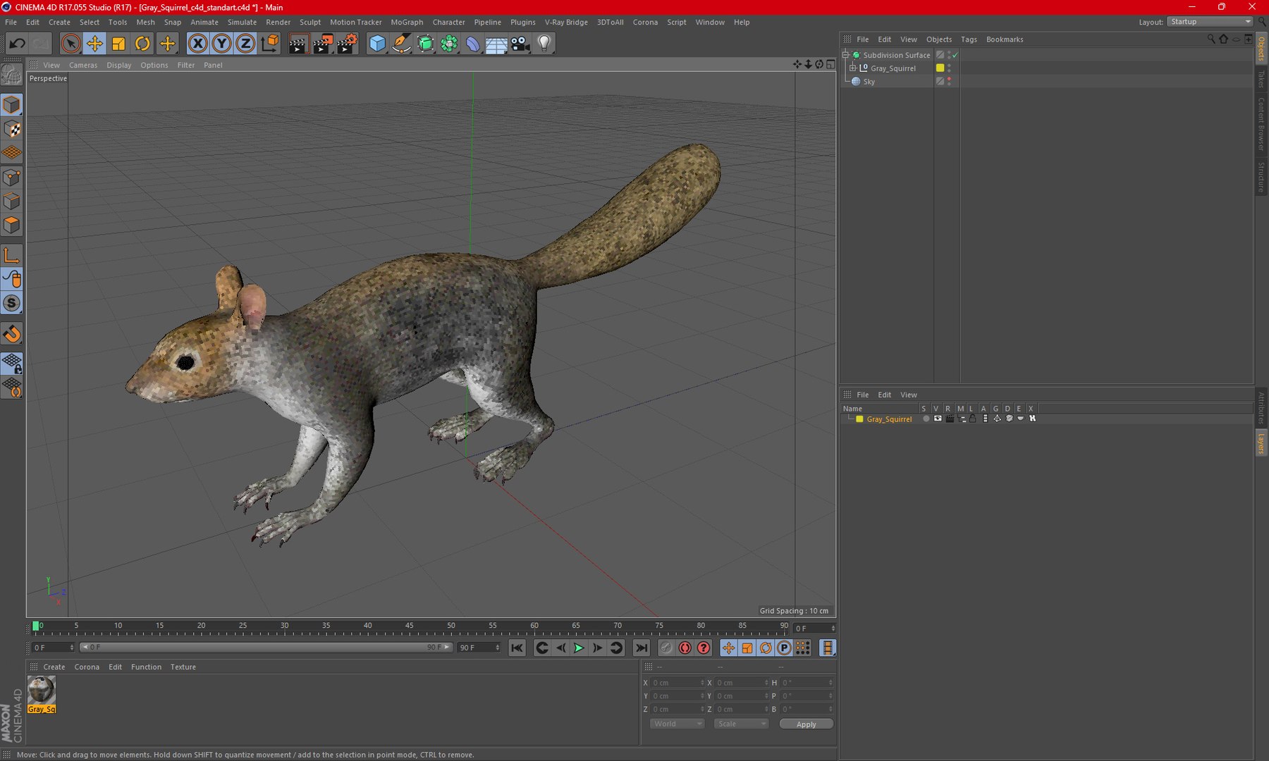 Gray Squirrel 3D https://p.turbosquid.com/ts-thumb/LF/zWorsU/EP/graysquirrelvray3dmodel035/jpg/1721773046/1920x1080/fit_q87/3677a57404fb92247c77edaf1dd643ba792a249b/graysquirrelvray3dmodel035.jpg