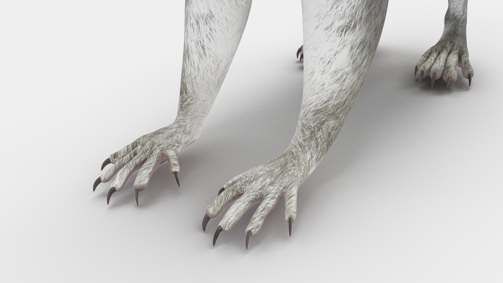 Gray Squirrel 3D https://p.turbosquid.com/ts-thumb/LF/zWorsU/JT/graysquirrelvray3dmodel019/jpg/1721772968/1920x1080/fit_q87/15467ca270f76150817105a1a01d40d03e55c60d/graysquirrelvray3dmodel019.jpg