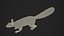 Gray Squirrel