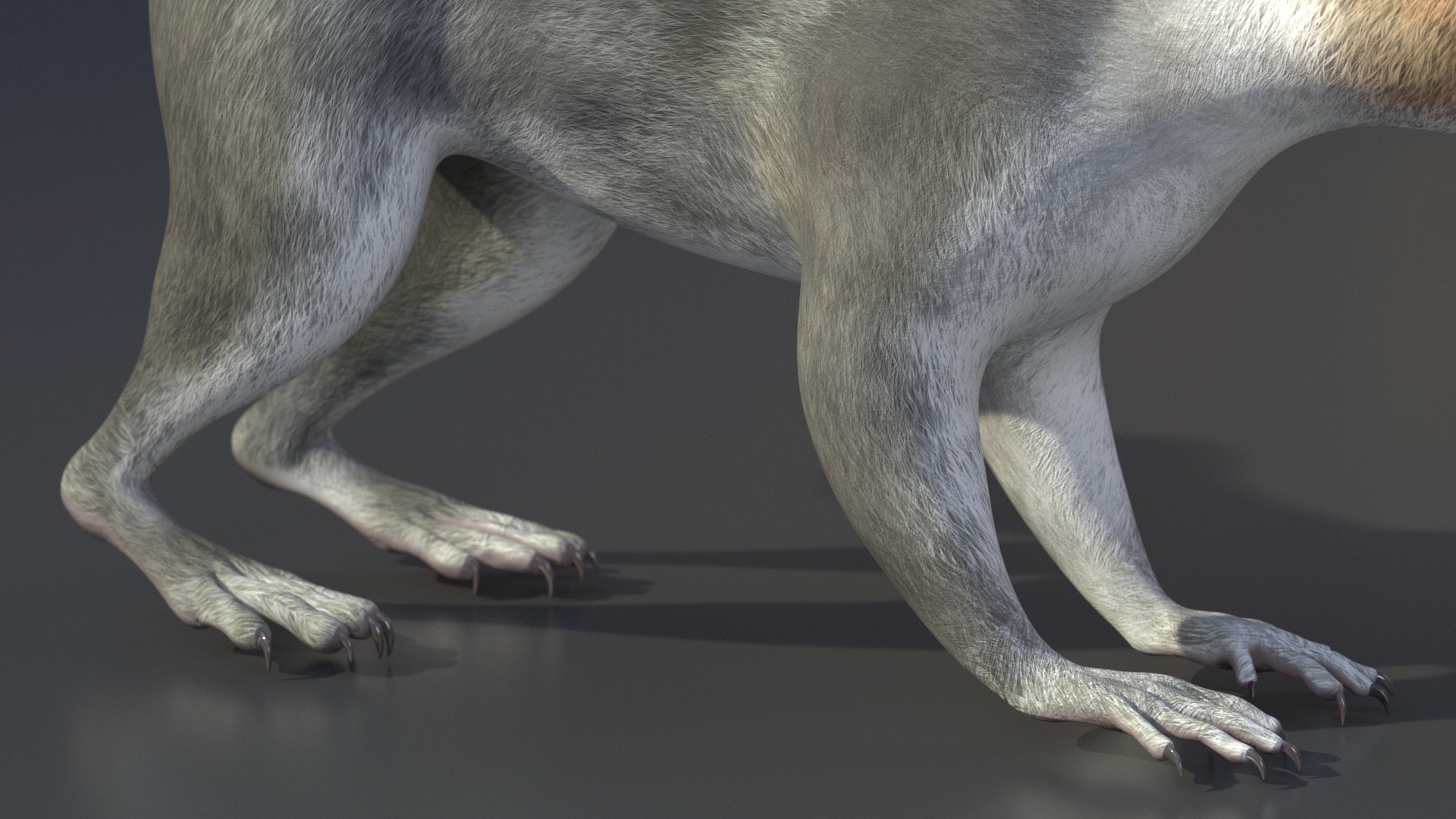 Gray Squirrel 3D https://p.turbosquid.com/ts-thumb/LF/zWorsU/Ve/graysquirrelvray3dmodel010/jpg/1721772943/1920x1080/fit_q87/30a2274b82c422898ea939343e300fb666cd358b/graysquirrelvray3dmodel010.jpg