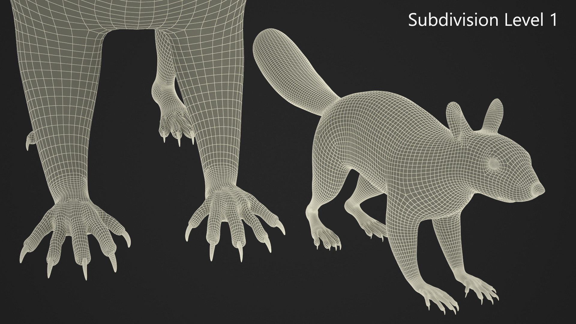 Gray Squirrel 3D https://p.turbosquid.com/ts-thumb/LF/zWorsU/eF/graysquirrelvray3dmodel024/jpg/1721772989/1920x1080/fit_q87/edfe6b3e43ca0df0f50801c18ff304b45345d03b/graysquirrelvray3dmodel024.jpg
