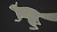 Gray Squirrel