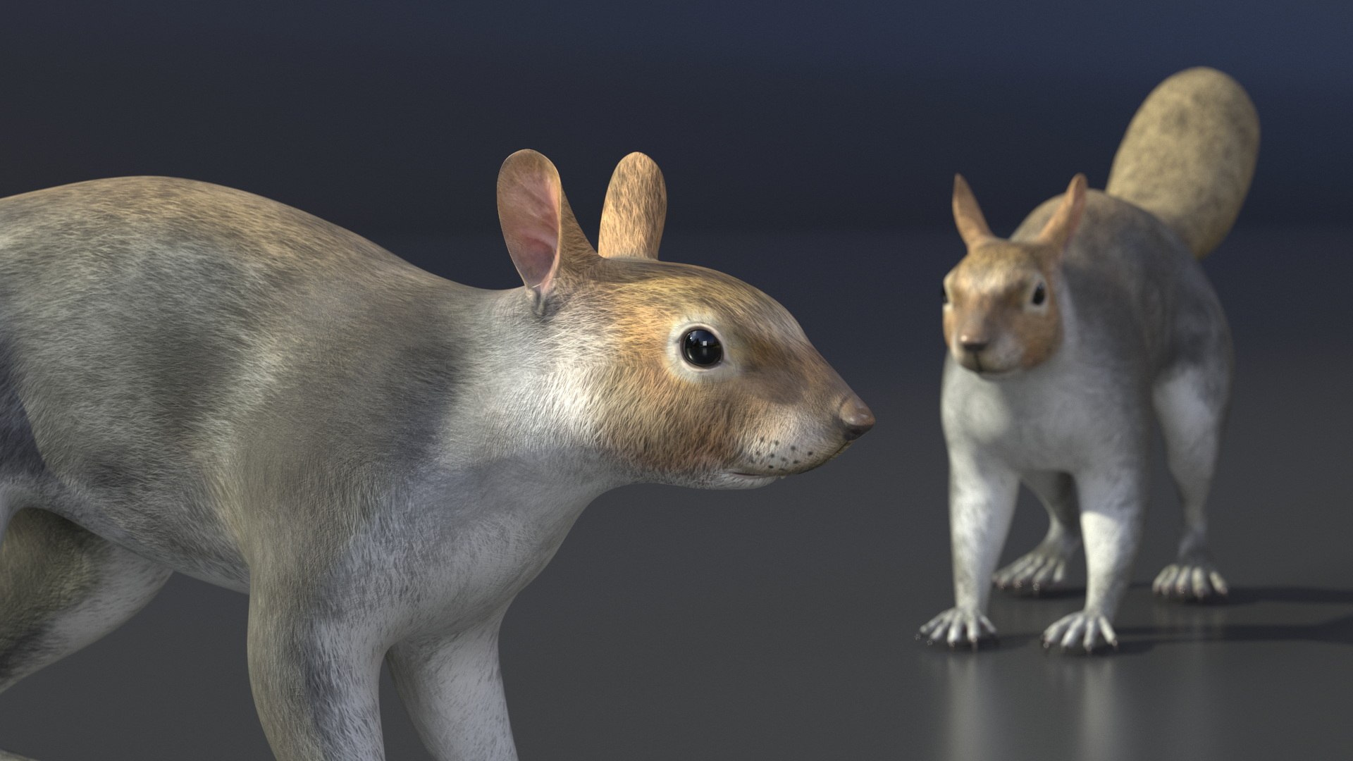 Gray Squirrel 3D https://p.turbosquid.com/ts-thumb/LF/zWorsU/sm/graysquirrelvray3dmodel012/jpg/1721772947/1920x1080/fit_q87/438ee926cce87f5e7621bed4dee470e6eb79d6fa/graysquirrelvray3dmodel012.jpg