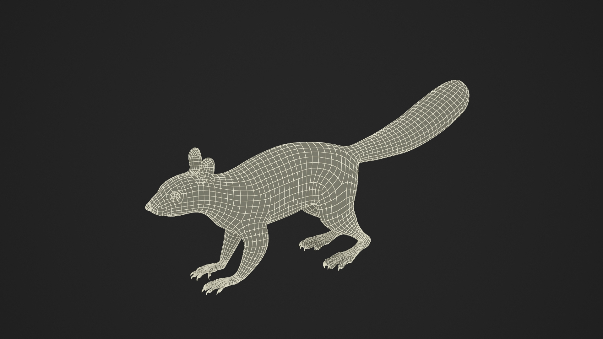 Gray Squirrel 3D https://p.turbosquid.com/ts-thumb/LF/zWorsU/xZ/gray_squirrel_361/jpg/1721772810/1920x1080/turn_fit_q99/ced426cfb4f472726f93487fc0e1c05484c63161/gray_squirrel_361-1.jpg