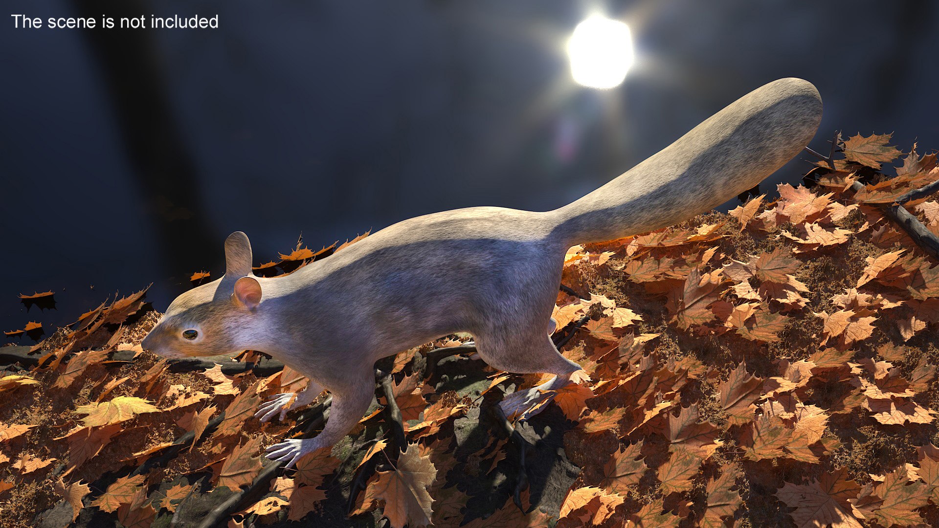 Gray Squirrel 3D https://p.turbosquid.com/ts-thumb/LF/zWorsU/yT/graysquirrelvray3dmodel004/jpg/1721772930/1920x1080/fit_q87/aa91eae56a761f3d2157fd51c01363552db73366/graysquirrelvray3dmodel004.jpg