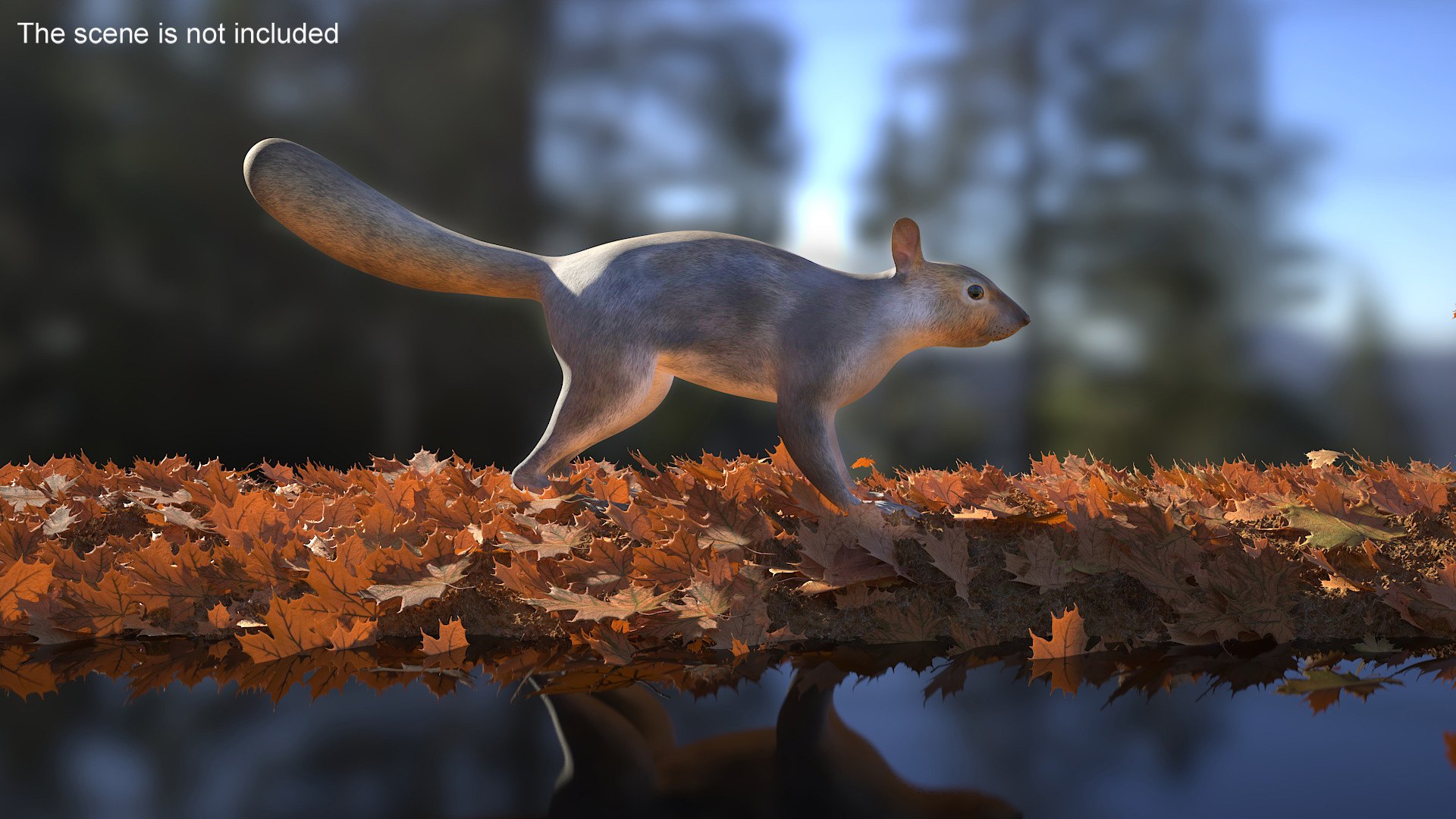 Gray Squirrel 3D https://p.turbosquid.com/ts-thumb/LF/zWorsU/z4/graysquirrelvray3dmodel002/jpg/1721772926/1920x1080/fit_q87/e5a17506dde44cdb883aafc943134d96a8440183/graysquirrelvray3dmodel002.jpg