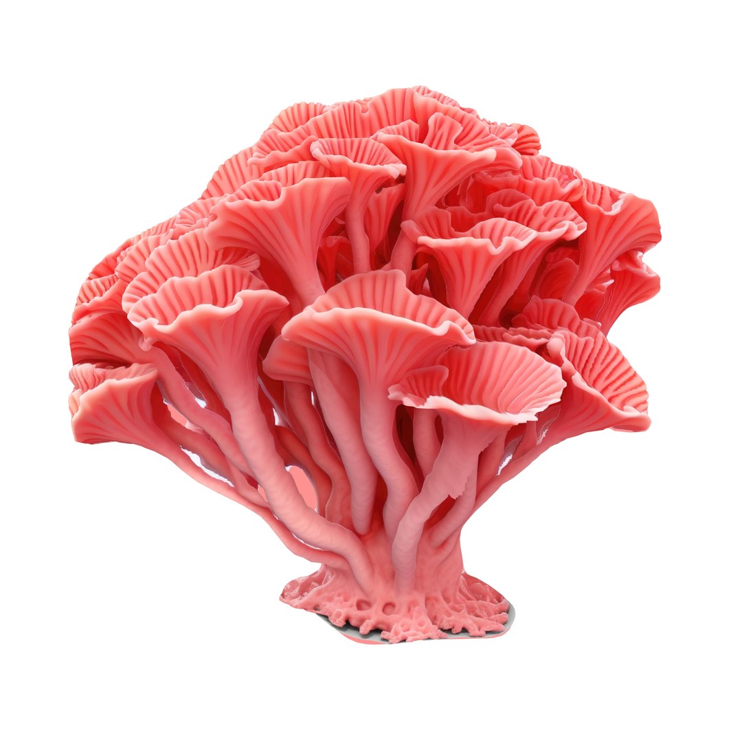 Pandora Mushroom Pack 12 model https://p.turbosquid.com/ts-thumb/LG/1e2n6v/Qb/7897897/jpg/1703014874/1920x1080/fit_q87/bcae491b7482de003a21dfb2f9924a209dcab8ac/7897897.jpg