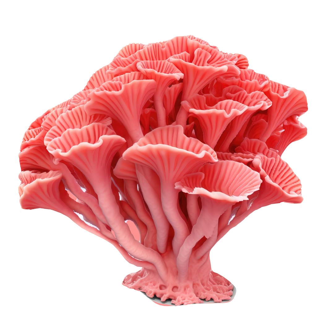 Pandora Mushroom Pack 12 model https://p.turbosquid.com/ts-thumb/LG/1e2n6v/ly/78678678/jpg/1703014875/1920x1080/fit_q87/b3e847950e8d573ca39987440c4a43589986b3d1/78678678.jpg