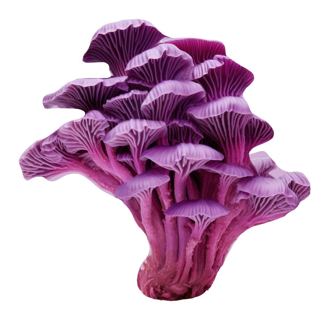 Pandora Mushroom Pack 12 model https://p.turbosquid.com/ts-thumb/LG/1e2n6v/q1/77678678/jpg/1703014874/1920x1080/fit_q87/47ccc0b4798714dbb7f5208423b2e3e29accec6d/77678678.jpg