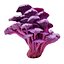 Pack de champignons Pandora 12
