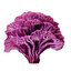 Pack de champignons Pandora 12