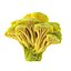 Pack de champignons Pandora 12