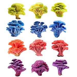 Pandora Mushroom Pack 12 model