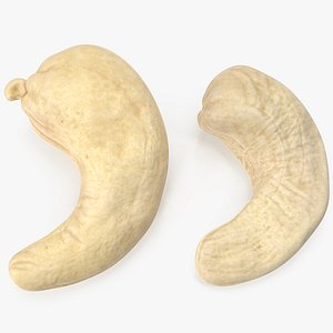 Cashews 3 model