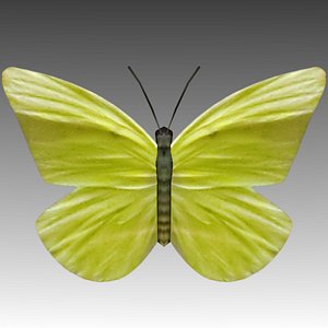 low-poly butterfly wings fly 3d model
