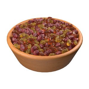 Raisins mix bowl 3D model