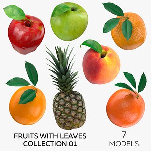 Fruits with Leaves Collection 01 - 7 models 3D