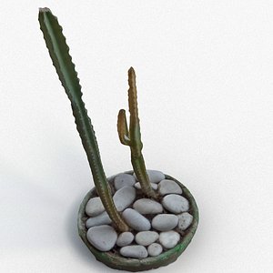 3d model of cactus interior realistic