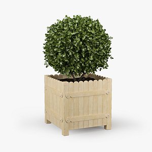 Bush Ball