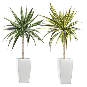 potted plants set 53 model