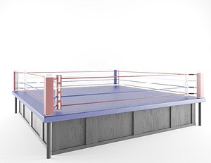 max boxing area