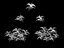Ciudad - arbusto de púas