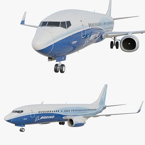 Boeing 737-800  Realistic Jet Airliner Plane model