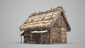 3D ancient thatched dwelling