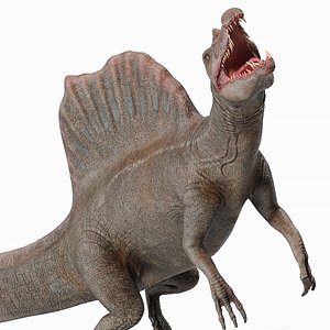 3D Spinosaurus Swimming Pose
