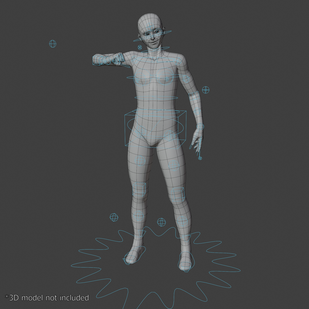 livre Humanoid Character Rig for Blender Modelo 3D - TurboSquid 1438227