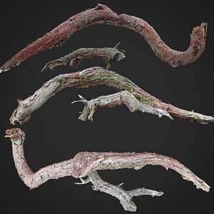 Dead twisted tree 3d scan 5