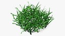 Realistic Lawn Grass Patch
